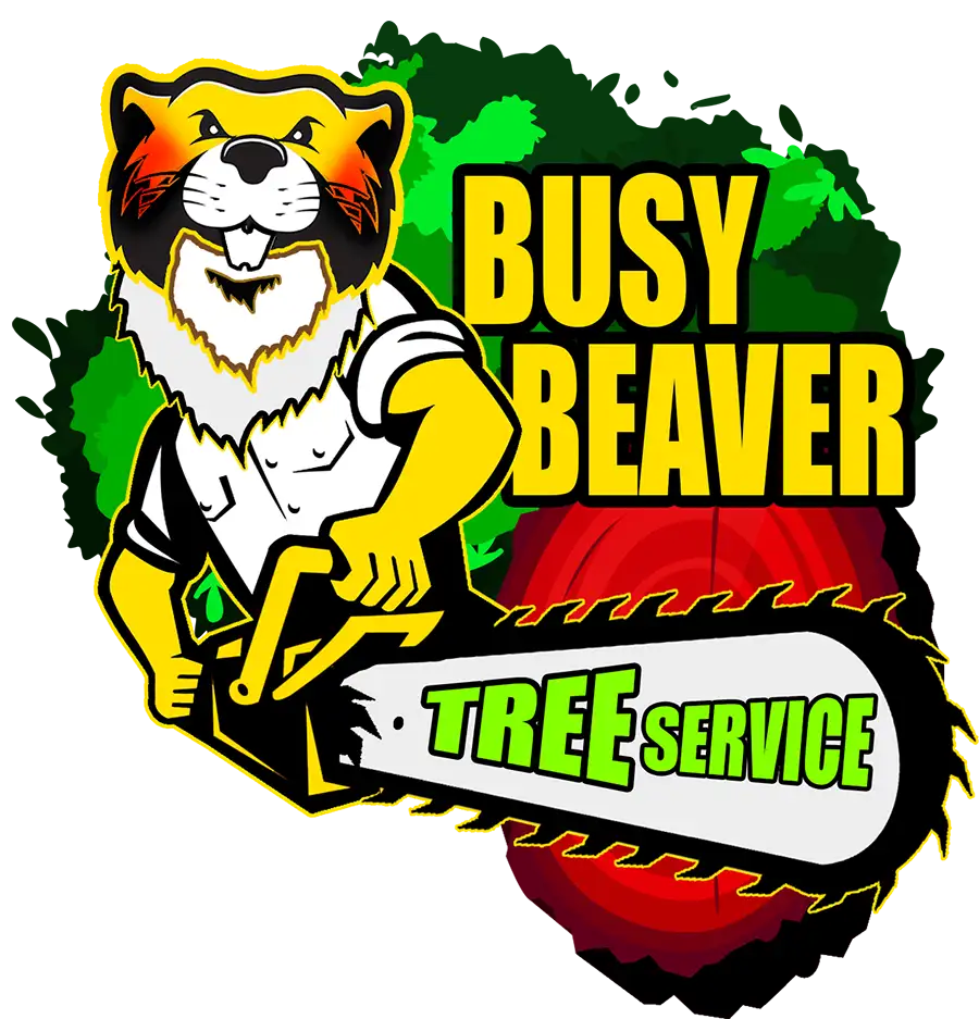Busy Beaver Tree Service logo O'Fallon, IL