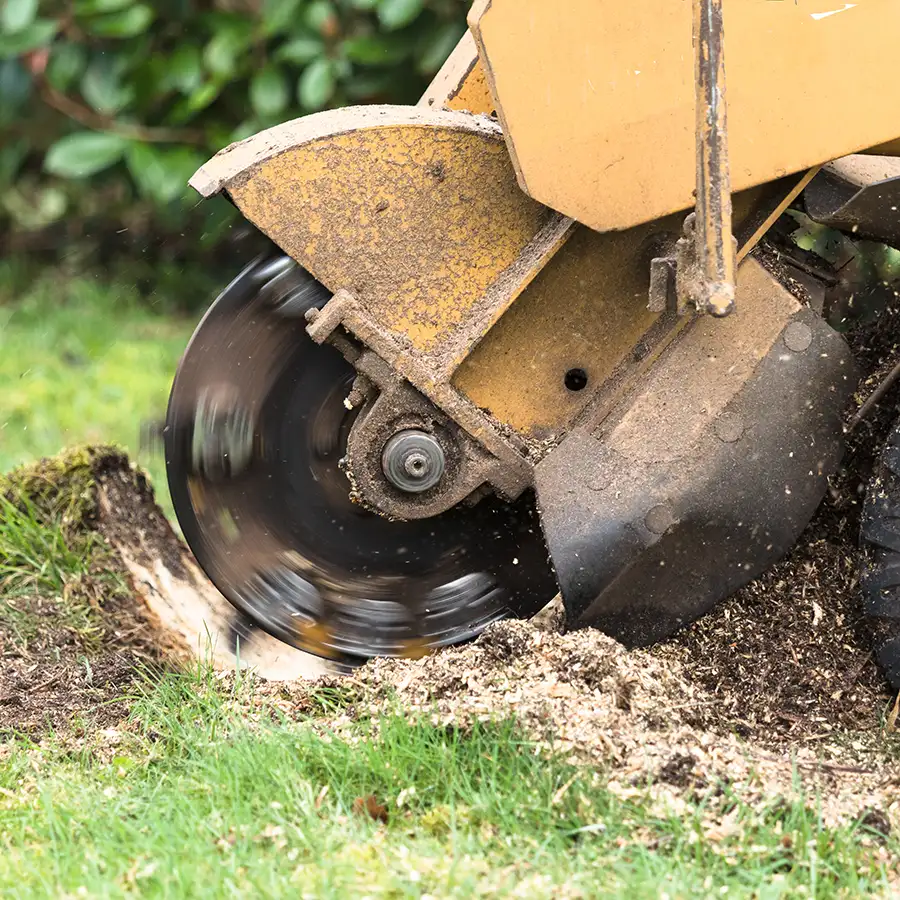 Stump Removal or Grinding - O'Fallon, IL