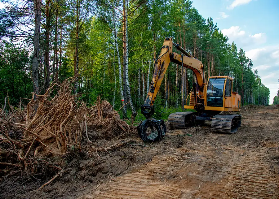 Tree Removal Land Clearing - O'Fallon, IL