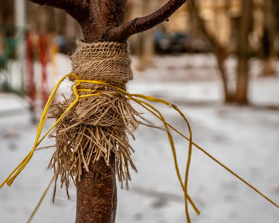 storm damage prevention - tied down to help stability - O'Fallon, IL