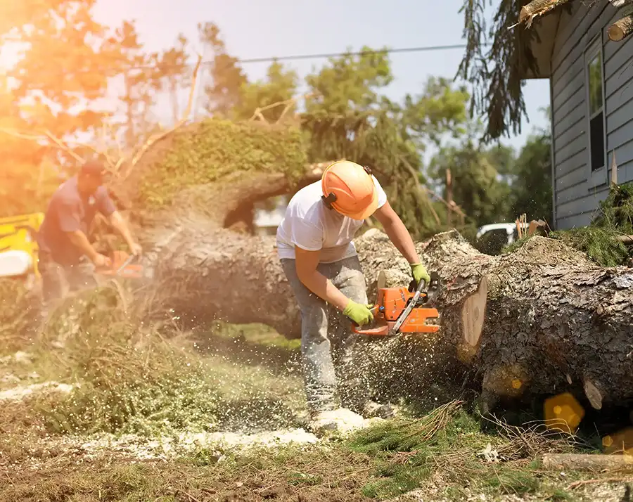 Storm Damage clean up, professionals clearing away tree debris from bad storm - O'Fallon, IL